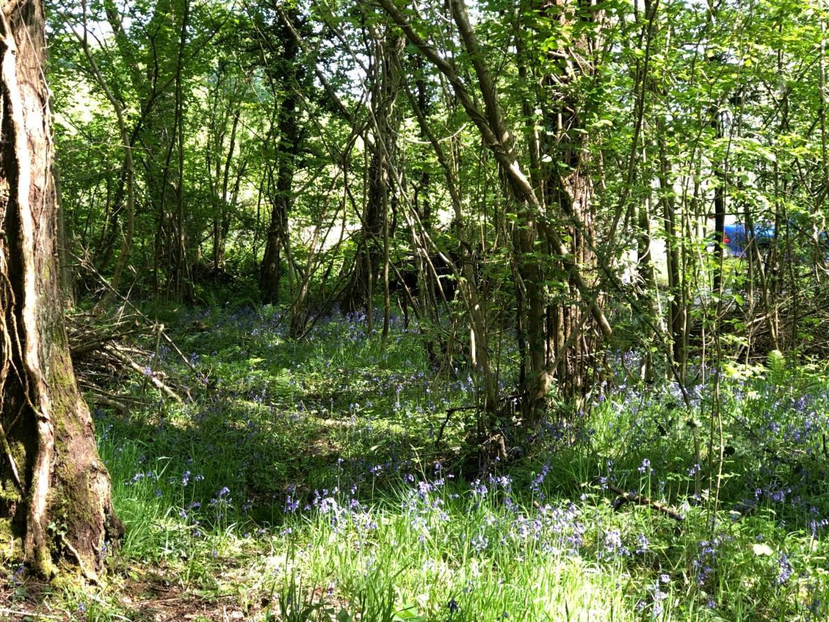 Vila Coed Y Marchog Woodland Retreat Hereford Exteriér fotografie