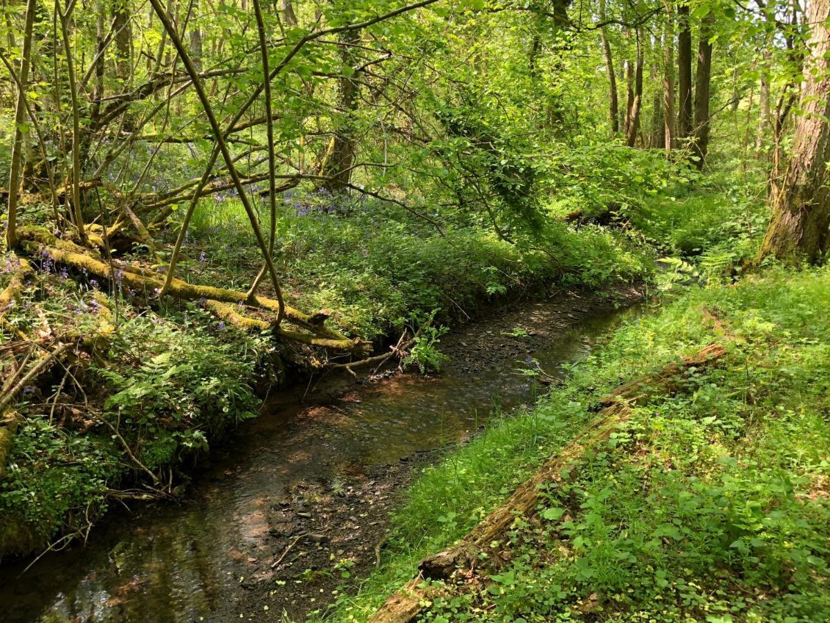Vila Coed Y Marchog Woodland Retreat Hereford Exteriér fotografie