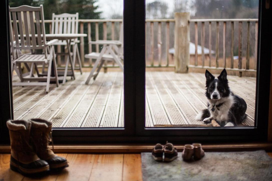 Vila Coed Y Marchog Woodland Retreat Hereford Exteriér fotografie
